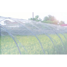 Anti Insect Net 100% HDPE with UV 5 Years Insect Screening